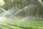 Cooeelandscaping-water-management-and-drainage-17.jpg; ?>